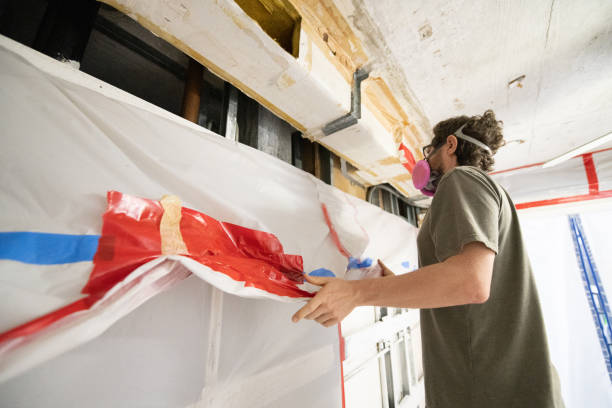 Best Black Mold Removal  in Piedmont, CA