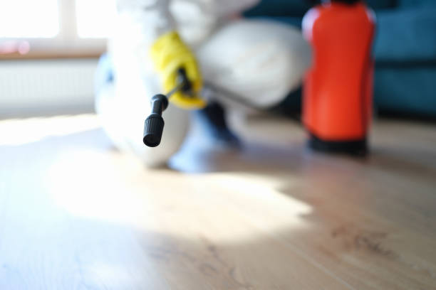 Forensic Mold Investigation in Piedmont, CA