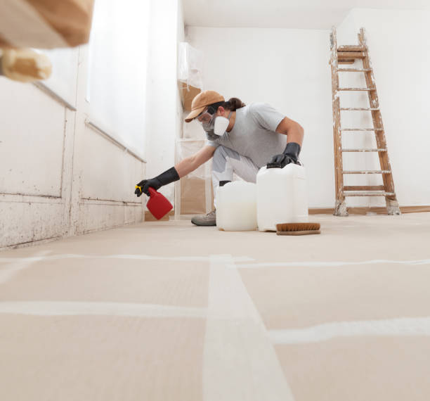 Best Crawl Space Mold Remediation  in Piedmont, CA